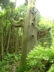 DSCF1043.JPG