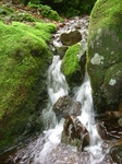 DSCF1093.JPG