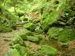 DSCF1094.JPG