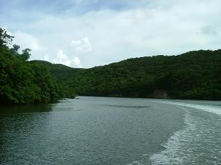 DSCF1774.JPG