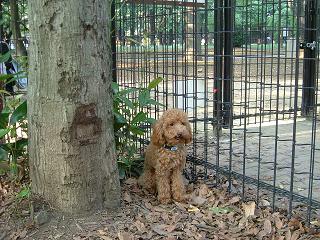 DSCF4137.JPG